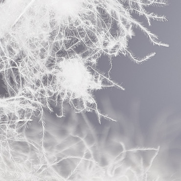 Péřový polštář EXCLUSIVE Silver 40x40, 50x70, 70x90 cm